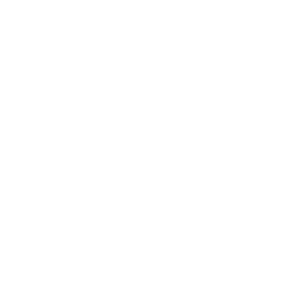 Security you can trust icon