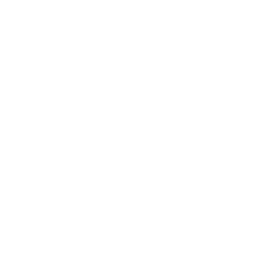 Proven expertise icon