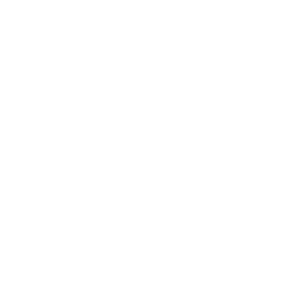 Security you can trust icon